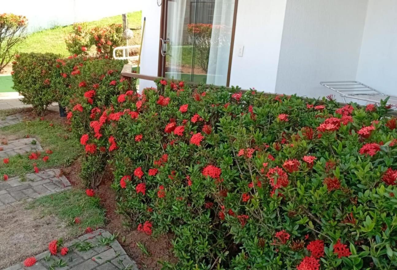 Flat Em Pipa - Brisas Do Amor Praia de Pipa Rom bilde